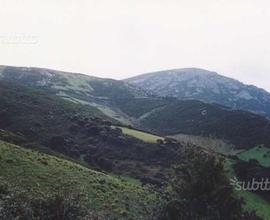 Terreno Agricolo Nord Sardegna