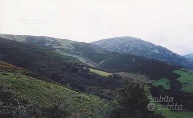 Terreno Agricolo Nord Sardegna