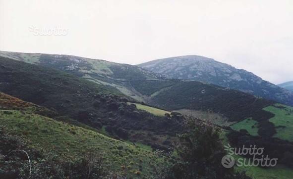 Terreno Agricolo Nord Sardegna