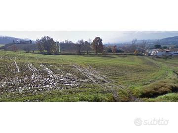 Terreno edificabile a luzzi