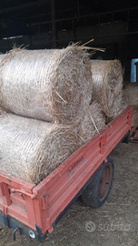 Vendita mini rotoballe