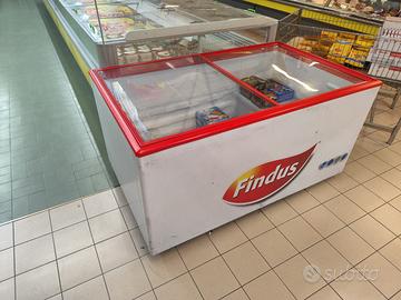 Frizzer surgelati