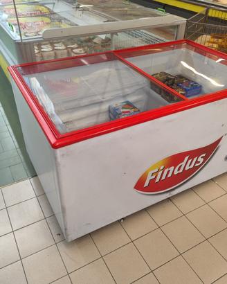 Frizzer surgelati
