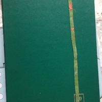 Album verde francobolli Poste Italiane anni 30