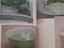 Immagine 5
