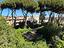 Immagine 11
