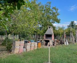Terreno agricolo
