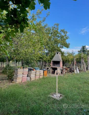 Terreno agricolo