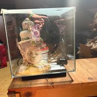 Acquario Newa 30 litri