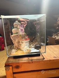 Acquario Newa 30 litri