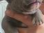 Immagine 3