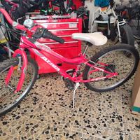 BICI  ATALA BUTTERFLY 