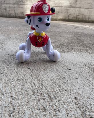 Giocattolo pawpatrol