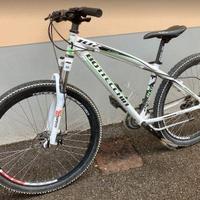 MTB Bottecchia 107 29 pollici