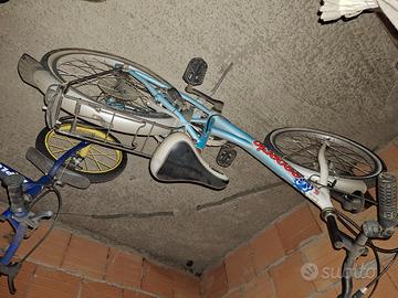 Bicicletta  bambina 20 pollici