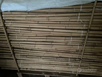 Canne di bambu