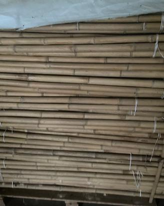 Canne di bambu