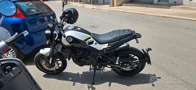 benelli leoncino 250 nuovo
