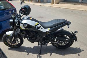benelli leoncino 250 nuovo