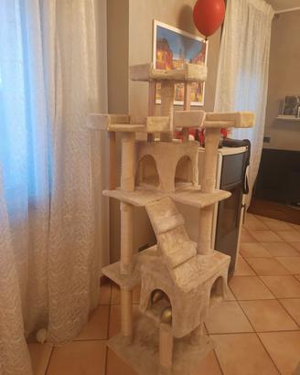 gioco x gatti 