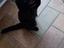 Immagine 5