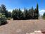 Immagine 11
