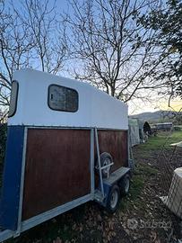 Trailer cavalli 1 posto