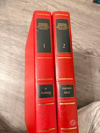 Novissimo Dizionario Italiano