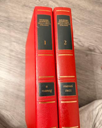 Novissimo Dizionario Italiano