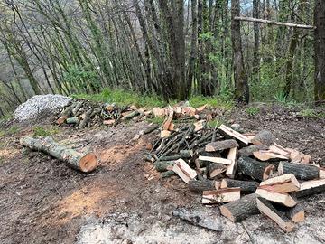 Legna di quercia