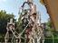 Immagine 5