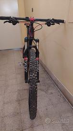 MTB Focus Raven 29, taglia M