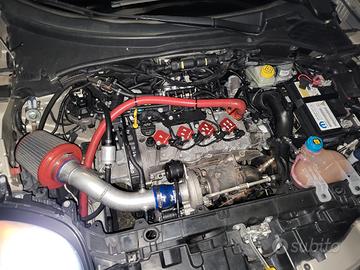 eseguo tagliandi auto (leggi descrizione)