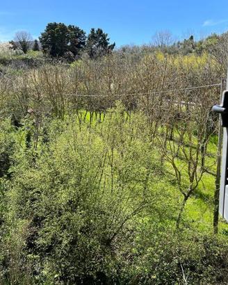 Appartamento di 75 m² con 4 locali a Viterbo