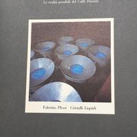 Catalogo mostra fabrizio plessi