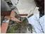 Immagine 9