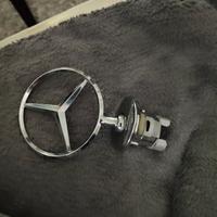 stella cofano mercedes