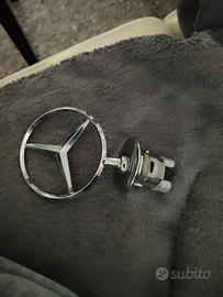 stella cofano mercedes