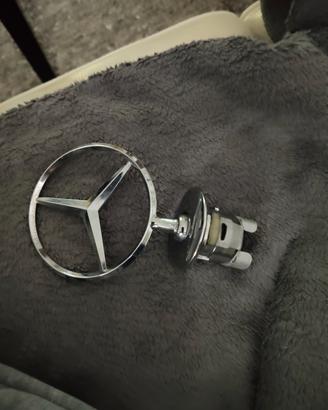 stella cofano mercedes