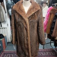 Visone Bicolore a Lisca