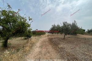 Terreno, Casteldaccia.