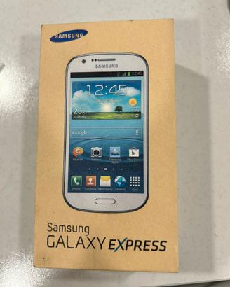 Samsung Galaxy Express Gt-I8730 con 2 Batterie
