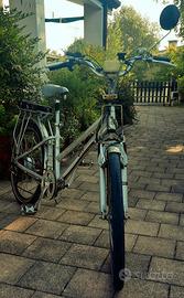 bici elettrica 24v