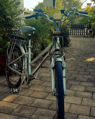 bici elettrica 24v