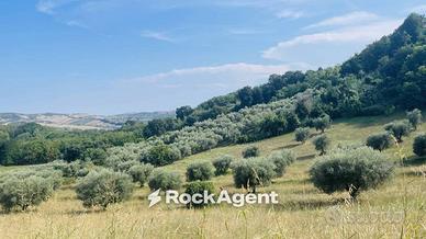 Terreno di 12880 m² a Sant'Omero