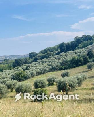 Terreno di 12880 m² a Sant'Omero