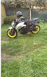 CF moto 650