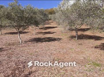 Terreno di 23500 m² a Marcellinara