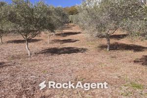 Terreno di 23500 m² a Marcellinara