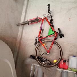 Bicicletta per ragazzi